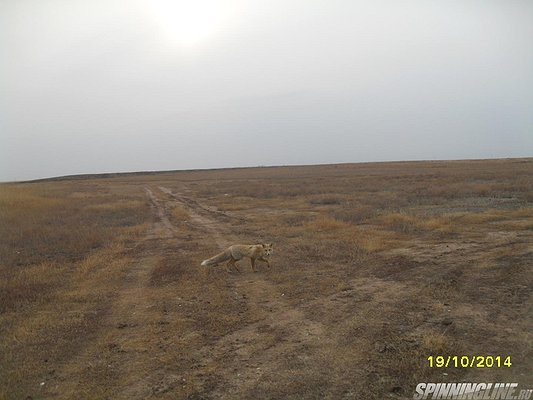 Изображение 1 : Спининг Северный Казахстан